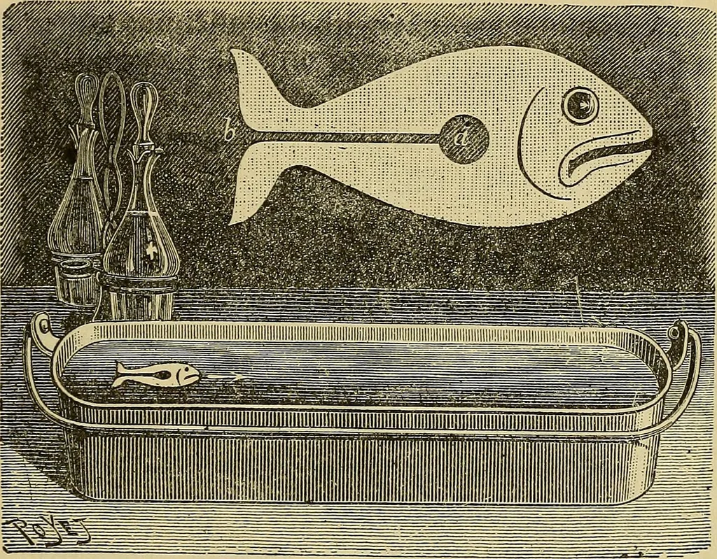 An illustration from Sports and games, 1903, leaf 100