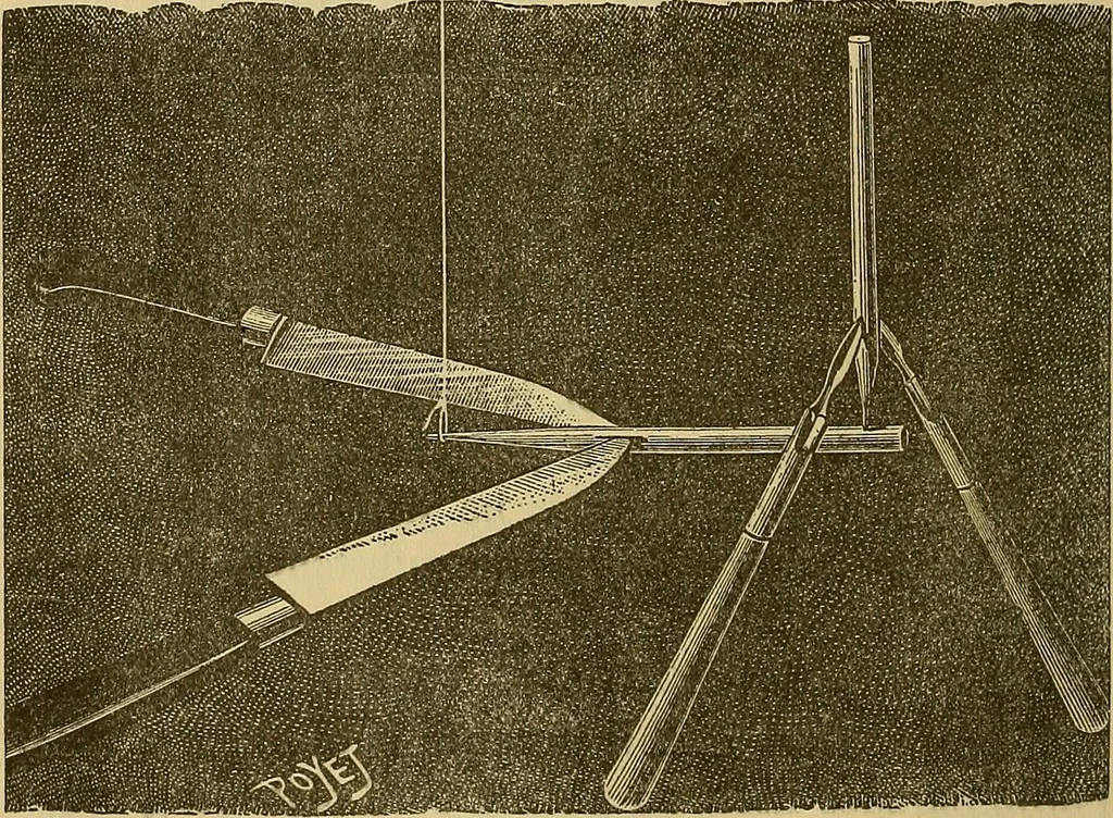 An illustration from Sports and games, 1903, leaf 79