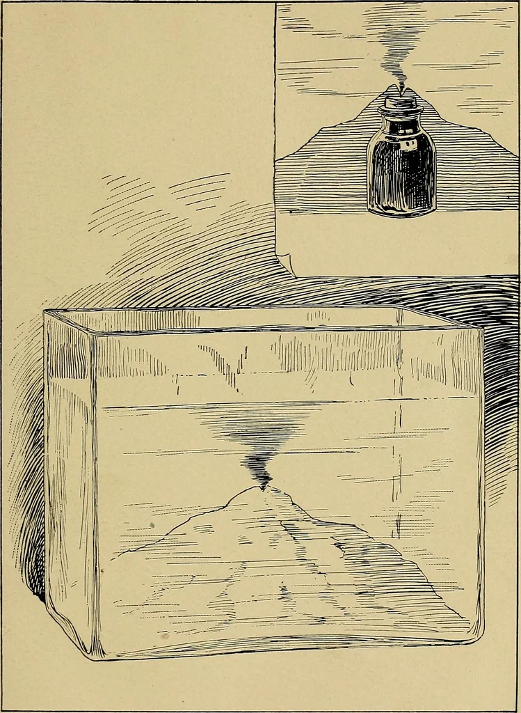 An illustration from Sports and games, 1903, leaf 82