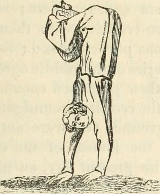 An illustration from The sports and pastimes of the people of England : Including the rural and domestic recreations, May games, mummeries, shows, processions, pageants, and pompous spectacles, from the earliest period to the present time, 1845, leaf 276