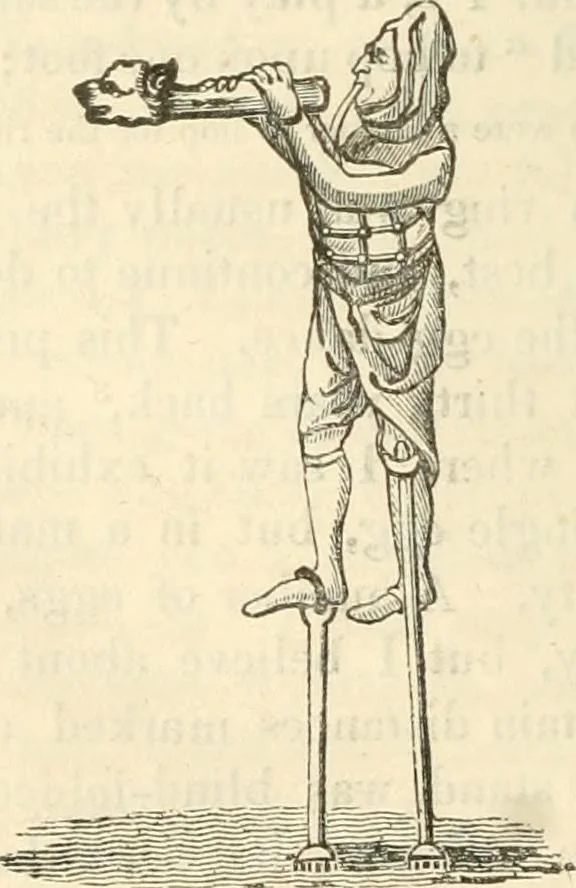 An illustration from The sports and pastimes of the people of England : Including the rural and domestic recreations, May games, mummeries, shows, processions, pageants, and pompous spectacles, from the earliest period to the present time, 1845, leaf 293