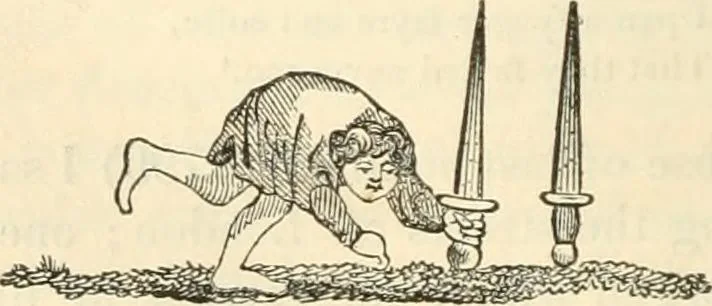 An illustration from The sports and pastimes of the people of England : Including the rural and domestic recreations, May games, mummeries, shows, processions, pageants, and pompous spectacles, from the earliest period to the present time, 1845, leaf 299