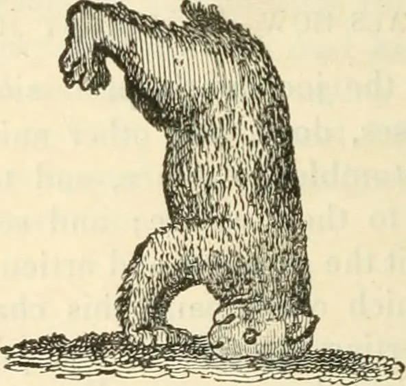 An illustration from The sports and pastimes of the people of England : Including the rural and domestic recreations, May games, mummeries, shows, processions, pageants, and pompous spectacles, from the earliest period to the present time, 1845, leaf 307