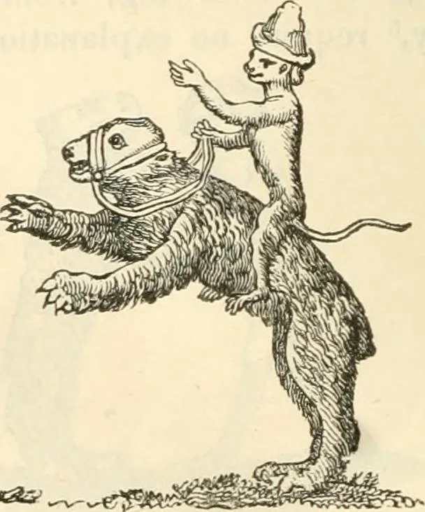 An illustration from The sports and pastimes of the people of England : Including the rural and domestic recreations, May games, mummeries, shows, processions, pageants, and pompous spectacles, from the earliest period to the present time, 1845, leaf 307
