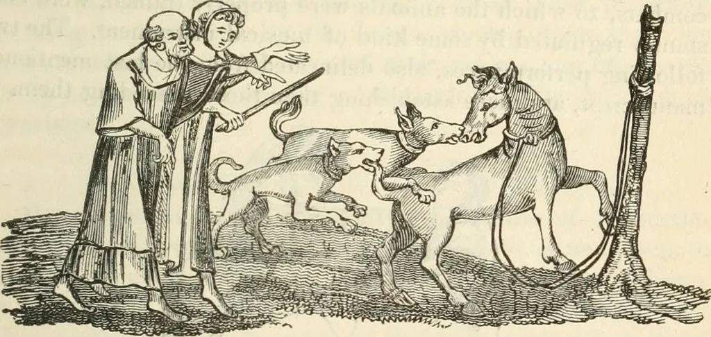 An illustration from The sports and pastimes of the people of England : Including the rural and domestic recreations, May games, mummeries, shows, processions, pageants, and pompous spectacles, from the earliest period to the present time, 1845, leaf 310