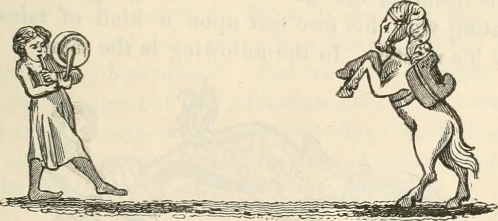 An illustration from The sports and pastimes of the people of England : Including the rural and domestic recreations, May games, mummeries, shows, processions, pageants, and pompous spectacles, from the earliest period to the present time, 1845, leaf 310