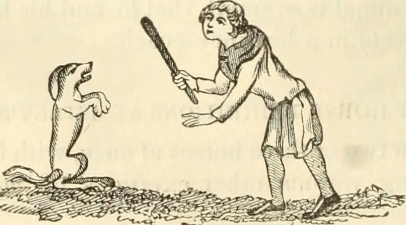 An illustration from The sports and pastimes of the people of England : Including the rural and domestic recreations, May games, mummeries, shows, processions, pageants, and pompous spectacles, from the earliest period to the present time, 1845, leaf 313