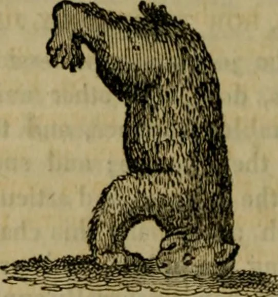 An illustration from The sports and pastimes of the people of England : including the rural and domestic recreations, May games, mummeries, shows, processions, pageants, and pompous spectacles, from the earliest period to the present time, 1830, leaf 311