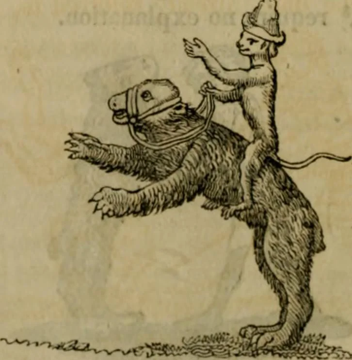 An illustration from The sports and pastimes of the people of England : including the rural and domestic recreations, May games, mummeries, shows, processions, pageants, and pompous spectacles, from the earliest period to the present time, 1830, leaf 311