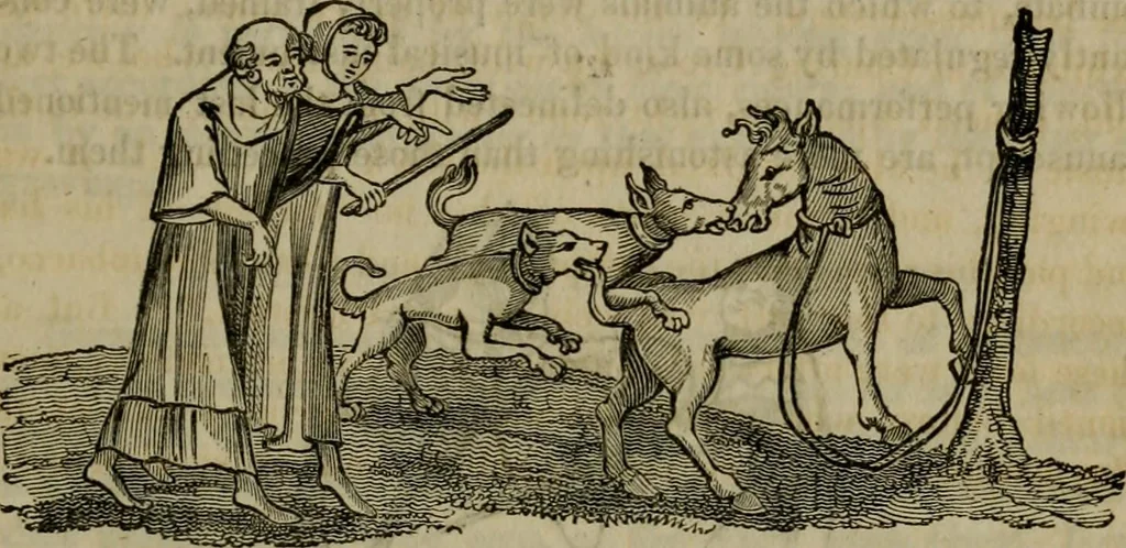 An illustration from The sports and pastimes of the people of England : including the rural and domestic recreations, May games, mummeries, shows, processions, pageants, and pompous spectacles, from the earliest period to the present time, 1830, leaf 314