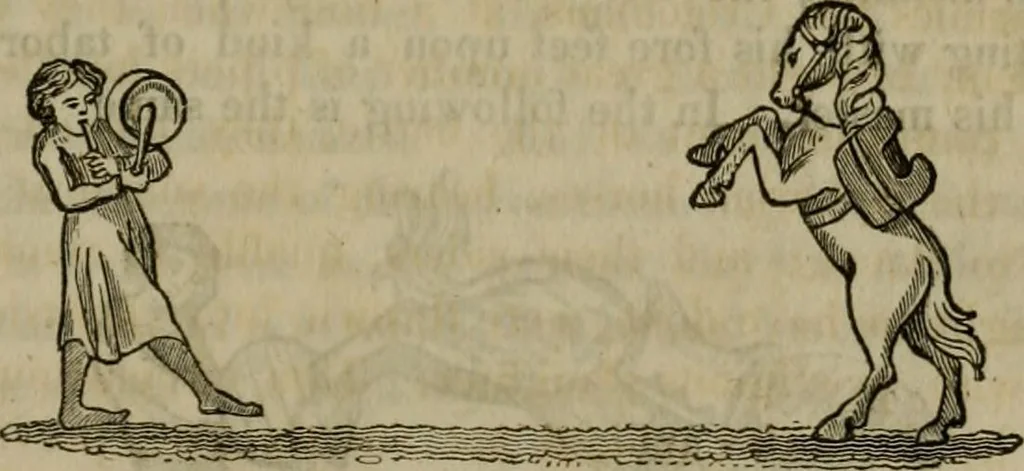 An illustration from The sports and pastimes of the people of England : including the rural and domestic recreations, May games, mummeries, shows, processions, pageants, and pompous spectacles, from the earliest period to the present time, 1830, leaf 314