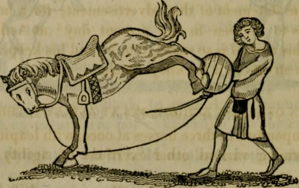 An illustration from The sports and pastimes of the people of England : including the rural and domestic recreations, May games, mummeries, shows, processions, pageants, and pompous spectacles, from the earliest period to the present time, 1830, leaf 315