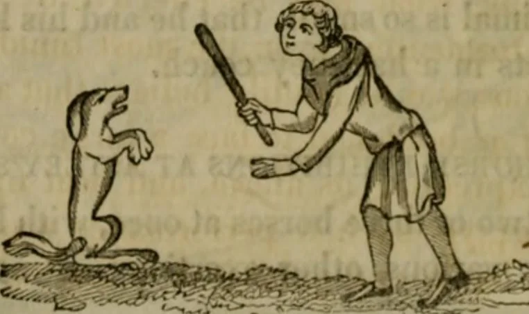 An illustration from The sports and pastimes of the people of England : including the rural and domestic recreations, May games, mummeries, shows, processions, pageants, and pompous spectacles, from the earliest period to the present time, 1830, leaf 317