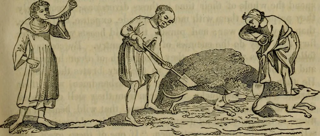 An illustration from The sports and pastimes of the people of England : including the rural and domestic recreations, May games, mummeries, shows, processions, pageants, and pompous spectacles, from the earliest period to the present time, 1830, leaf 76