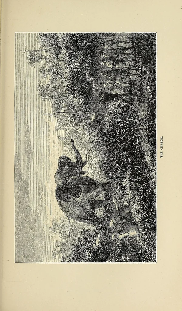 An illustration from Sport and war : or, Recollections of fighting and hunting in South Africa from the years 1834 to 1867, with a narrative of H.R.H. The Duke of Edinburgh's visit to the Cape / by Major-General Bisset, 1875, leaf 285
