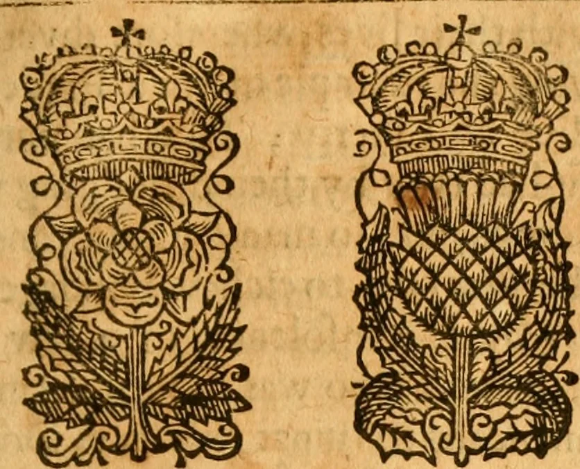 An illustration from S.P.Q.V. : a survay of the signorie of Venice, of her admired policy, and method of government, etc. : With a cohortation to all Christian princes to resent her dangerous condition at present, 1651, leaf 72