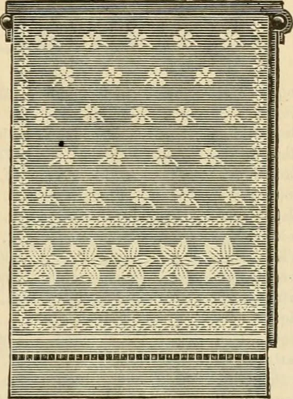An illustration from Spring & summer fashion catalogue., 1898, leaf 102