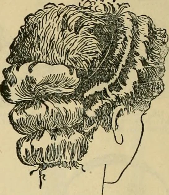 An illustration from Spring & summer fashion catalogue., 1898, leaf 119