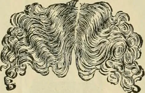 An illustration from Spring & summer fashion catalogue., 1898, leaf 119
