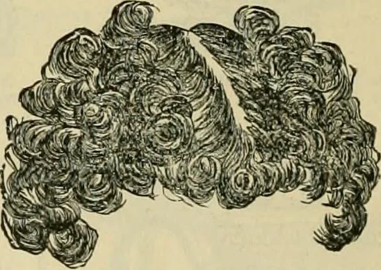 An illustration from Spring & summer fashion catalogue., 1898, leaf 119