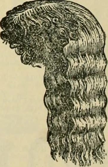 An illustration from Spring & summer fashion catalogue., 1898, leaf 119