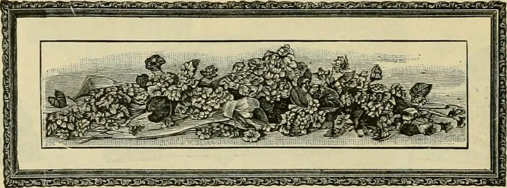 An illustration from Spring & summer fashion catalogue., 1898, leaf 127