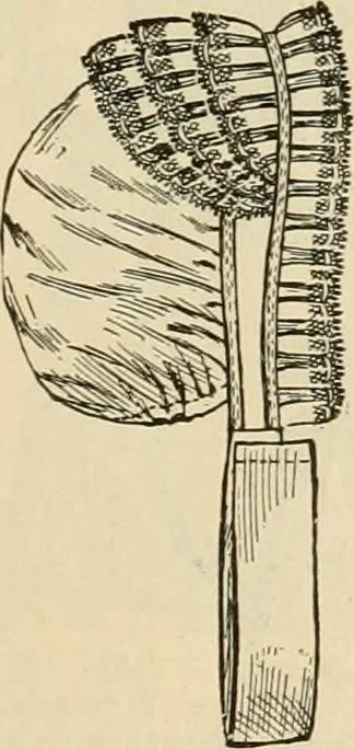 An illustration from Spring & summer fashion catalogue., 1898, leaf 54