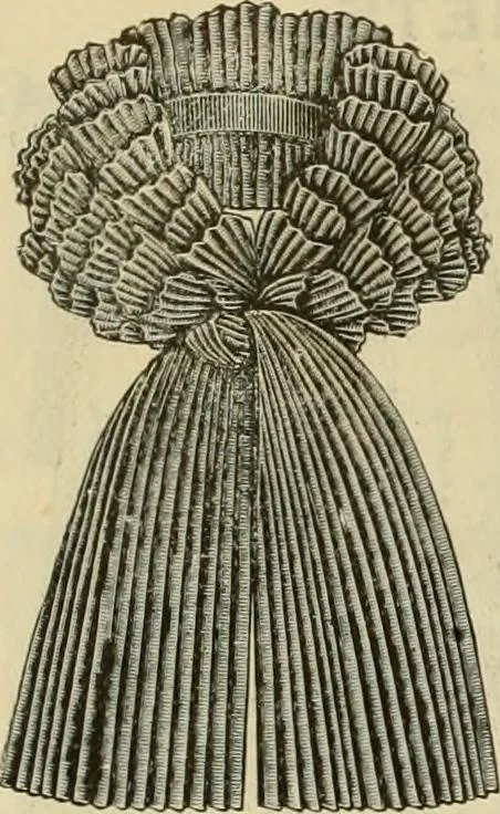 An illustration from Spring & summer fashion catalogue., 1898, leaf 63