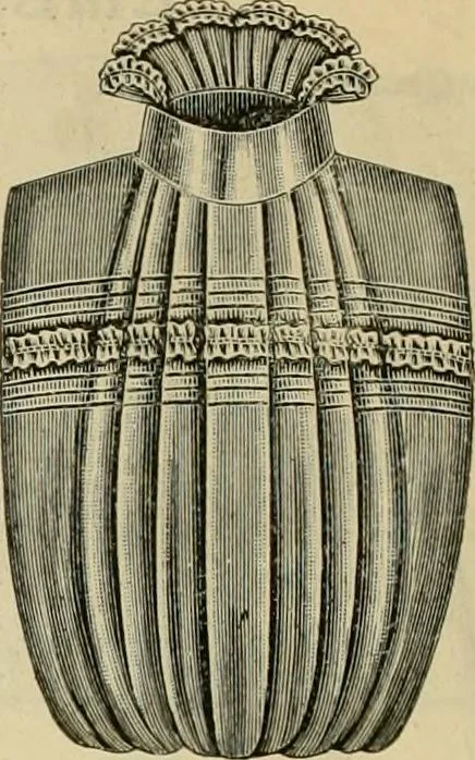 An illustration from Spring & summer fashion catalogue., 1898, leaf 63