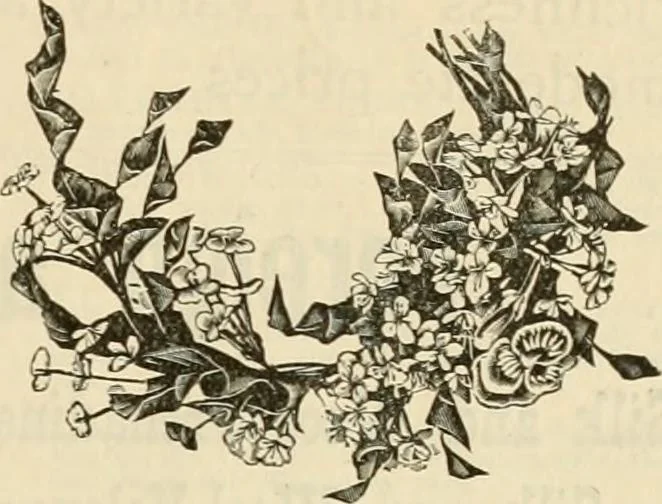 An illustration from Spring & summer fashion catalogue., 1898, leaf 72