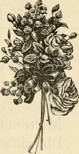 An illustration from Spring & summer fashion catalogue., 1898, leaf 72