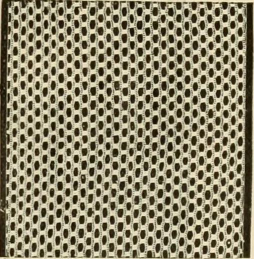 An illustration from Spring & summer fashion catalogue., 1898, leaf 86