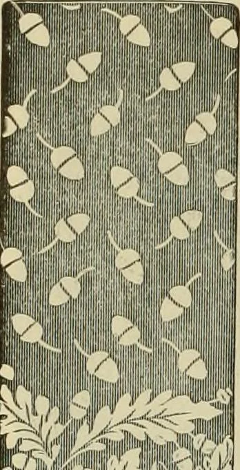 An illustration from Spring & summer fashion catalogue., 1898, leaf 97