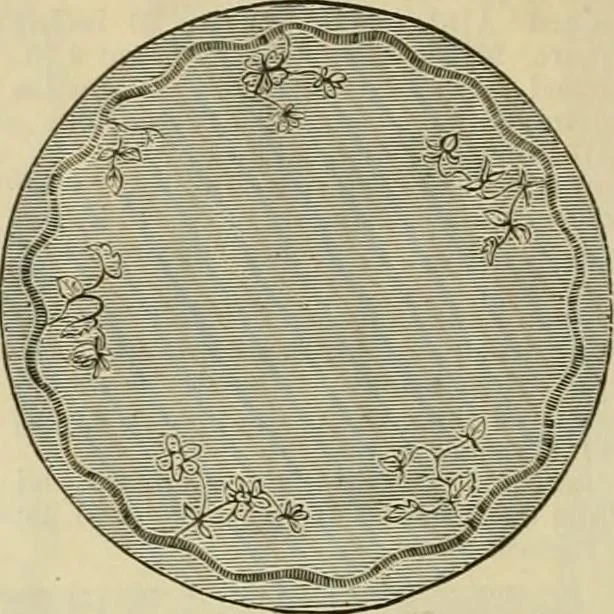 An illustration from Spring & summer fashion catalogue., 1898, leaf 99