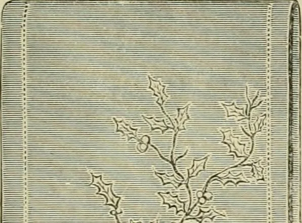 An illustration from Spring & summer fashion catalogue., 1898, leaf 99