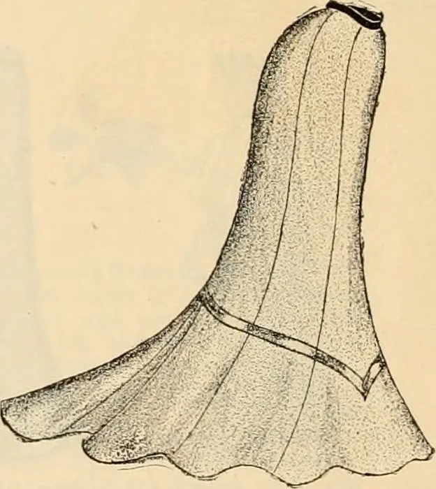 An illustration from Spring and summer catalog., 1903, leaf 15