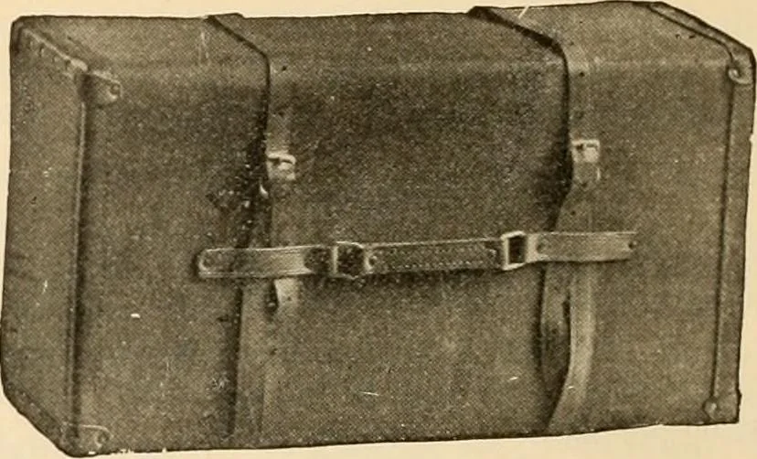 An illustration from Spring and summer catalog., 1903, leaf 43