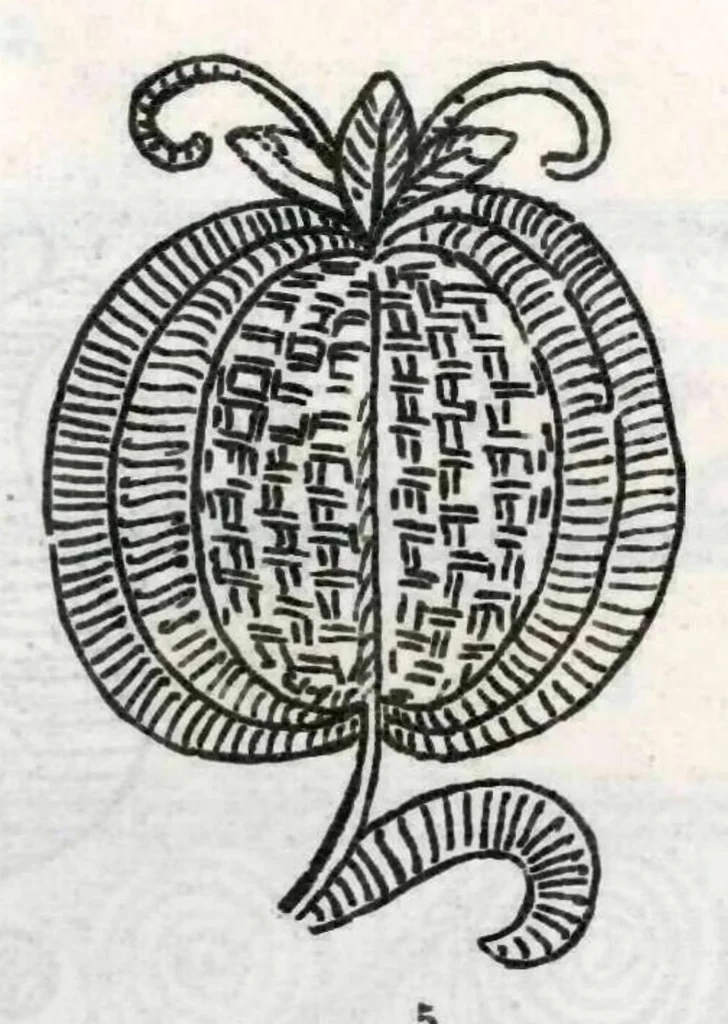 An illustration from Srpski vez - prvi svezak, 1896, leaf 28