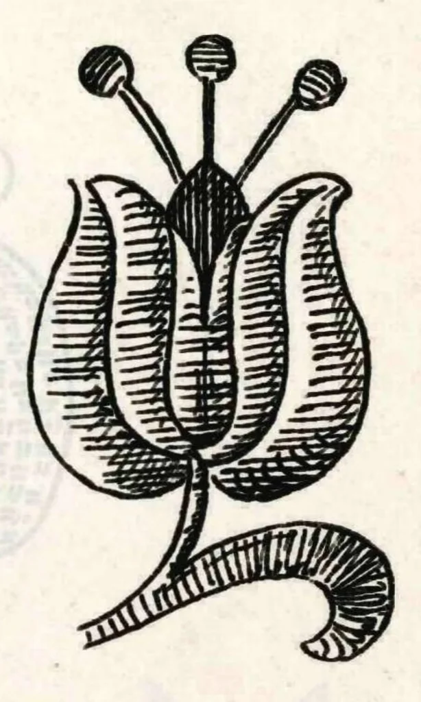 An illustration from Srpski vez - prvi svezak, 1896, leaf 29