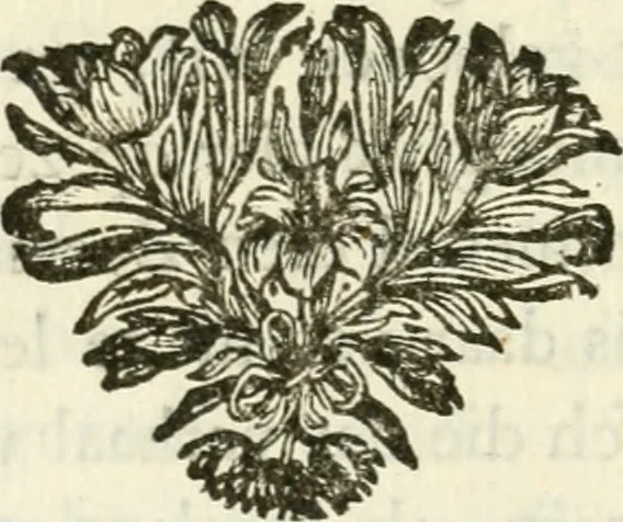 An illustration from Staat- en zedekundige zinneprenten, of, Leerzame fabelen, 1731, leaf 101