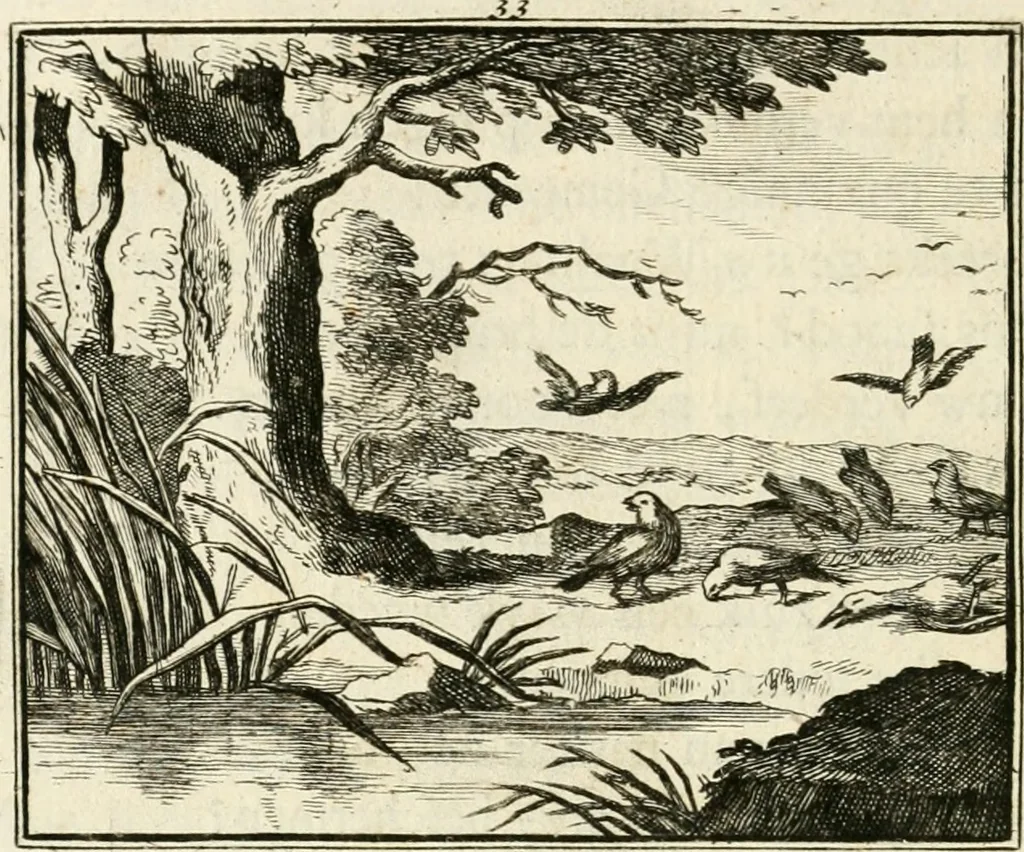 An illustration from Staat- en zedekundige zinneprenten, of, Leerzame fabelen, 1731, leaf 155