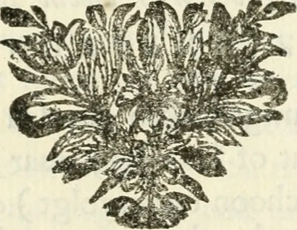 An illustration from Staat- en zedekundige zinneprenten, of, Leerzame fabelen, 1731, leaf 196