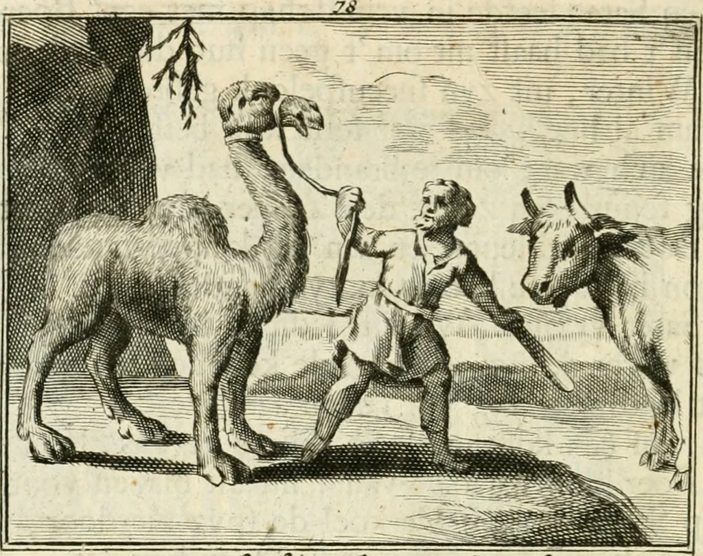 An illustration from Staat- en zedekundige zinneprenten, of, Leerzame fabelen, 1731, leaf 295