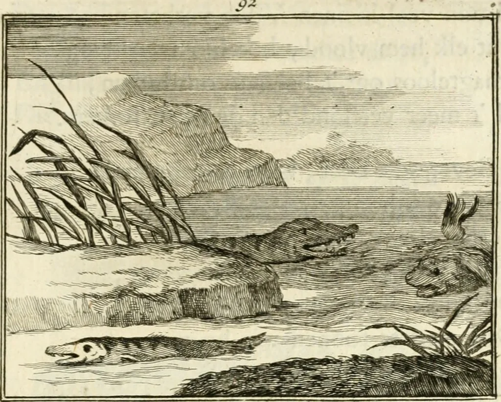 An illustration from Staat- en zedekundige zinneprenten, of, Leerzame fabelen, 1731, leaf 338