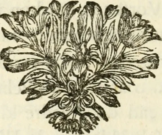 An illustration from Staat- en zedekundige zinneprenten, of, Leerzame fabelen, 1731, leaf 77