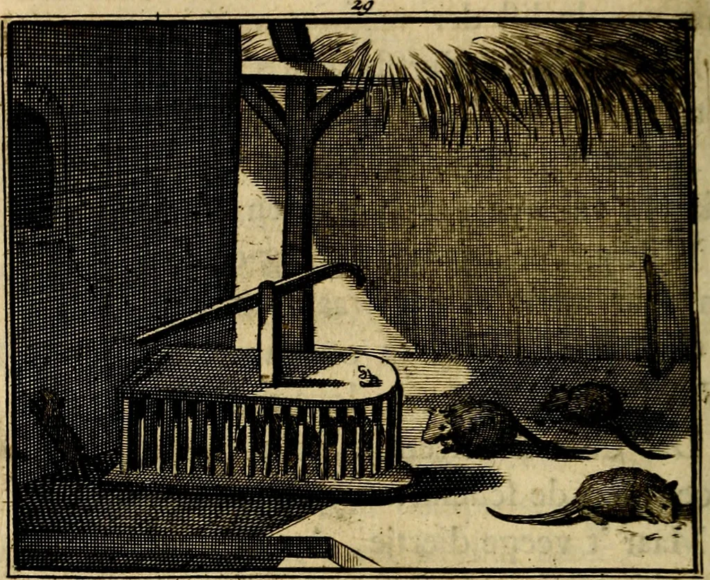 An illustration from Staat- en zedekundige zinneprenten, of, Leerzame fabelen : die van den Heere La Court speelswyze, 1731, leaf 143