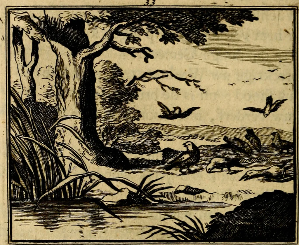 An illustration from Staat- en zedekundige zinneprenten, of, Leerzame fabelen : die van den Heere La Court speelswyze, 1731, leaf 155