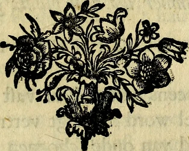 An illustration from Staat- en zedekundige zinneprenten, of, Leerzame fabelen : die van den Heere La Court speelswyze, 1731, leaf 172