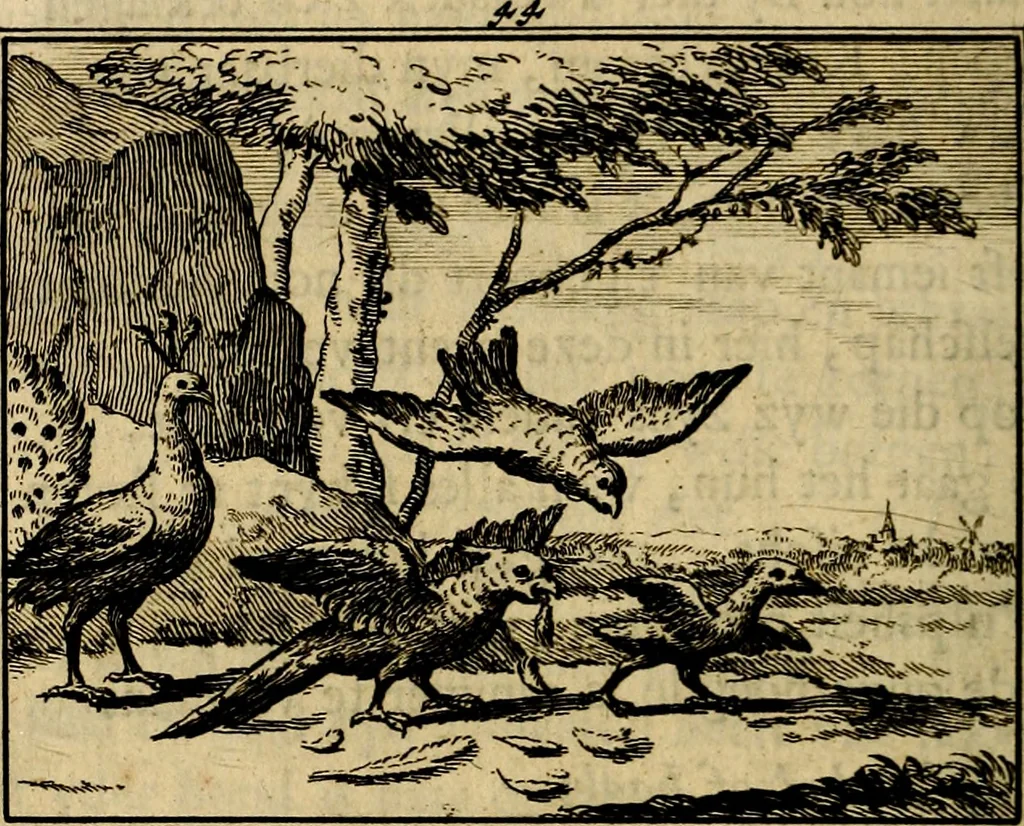 An illustration from Staat- en zedekundige zinneprenten, of, Leerzame fabelen : die van den Heere La Court speelswyze, 1731, leaf 191