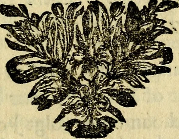 An illustration from Staat- en zedekundige zinneprenten, of, Leerzame fabelen : die van den Heere La Court speelswyze, 1731, leaf 196